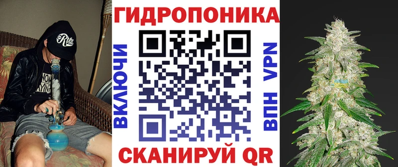 Где купить Тейково АМФ МАРИХУАНА Мефедрон Кетамин Гашиш Псилоцибиновые грибы